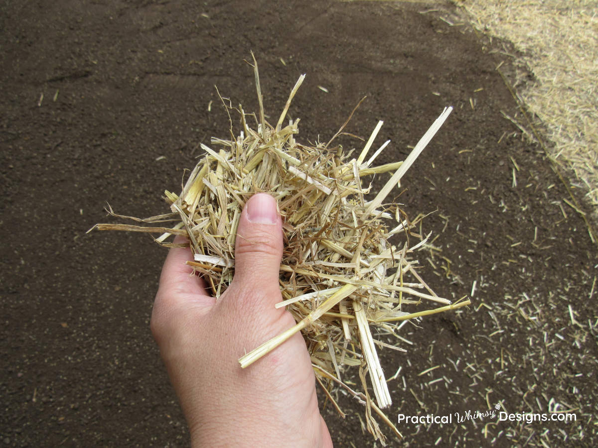 Handful of straw