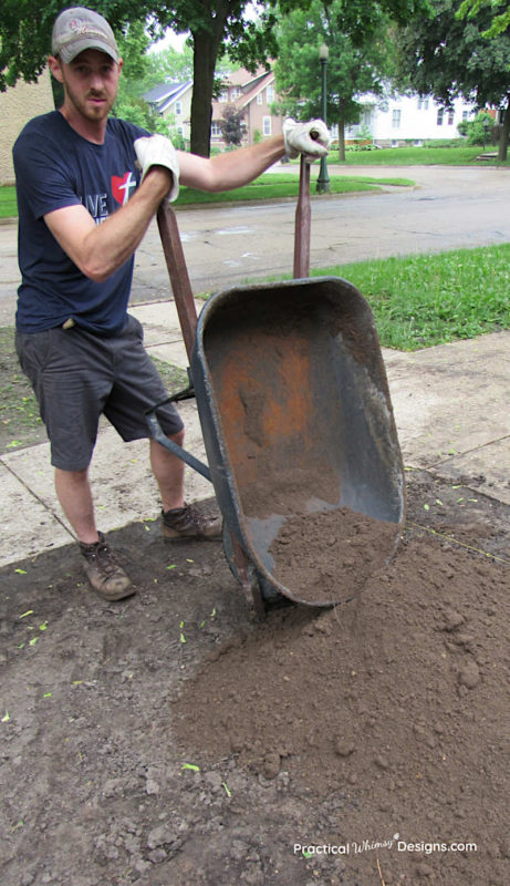 Dumping wheelbarrows of topsoil for new grass seed