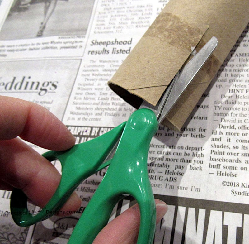 Use a scissors to cut a paper towel roll