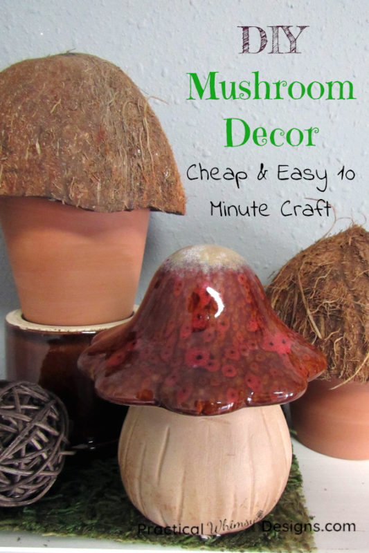 DIY Mushroom decor on shelf