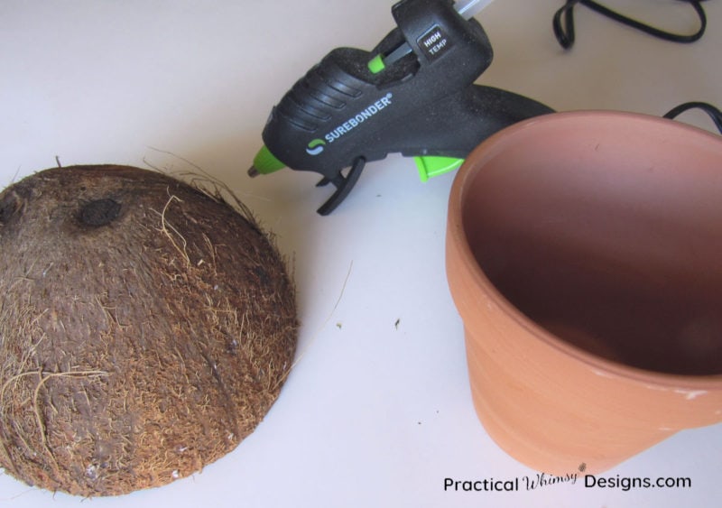 Supplies for making coconut mushroom craft