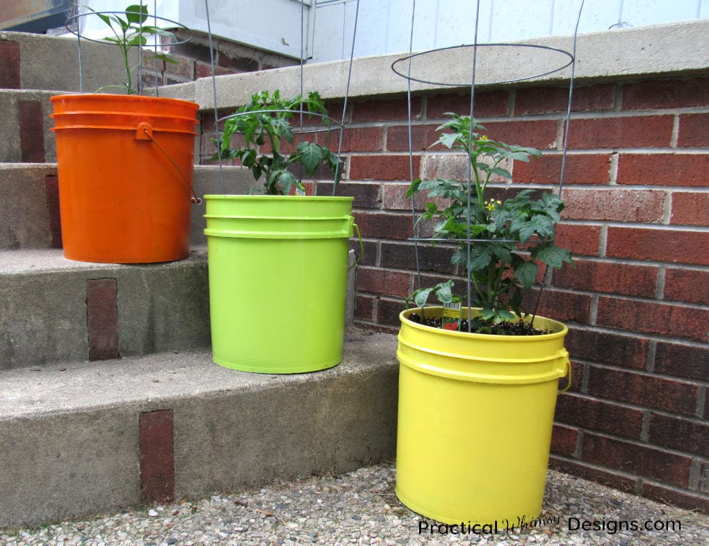 5 Gallon Bucket Planter Practical Whimsy Designs