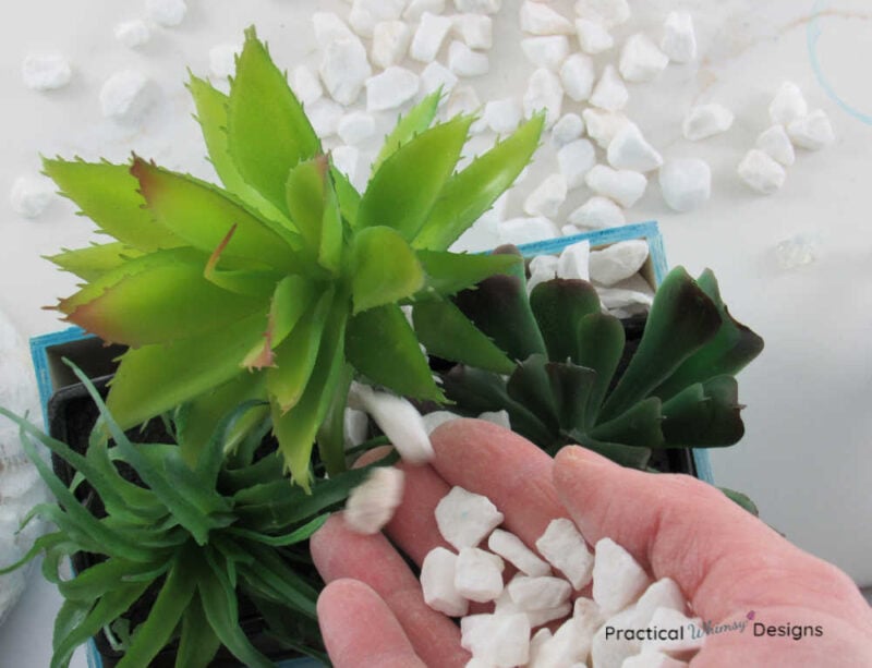 Hand pouring white rocks into succulent planter box