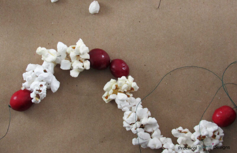 Cranberry and popcorn garland.