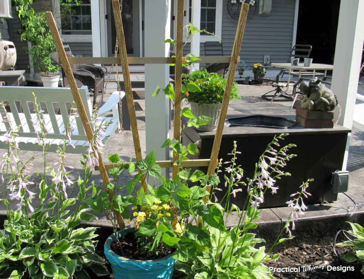 Easy Garden Trellis by patio