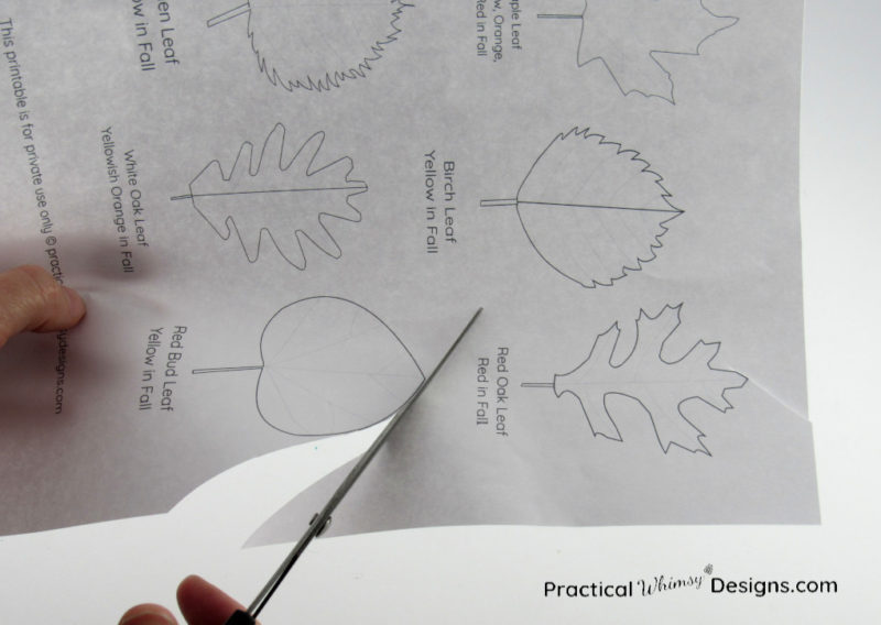 Cutting out paper leaves