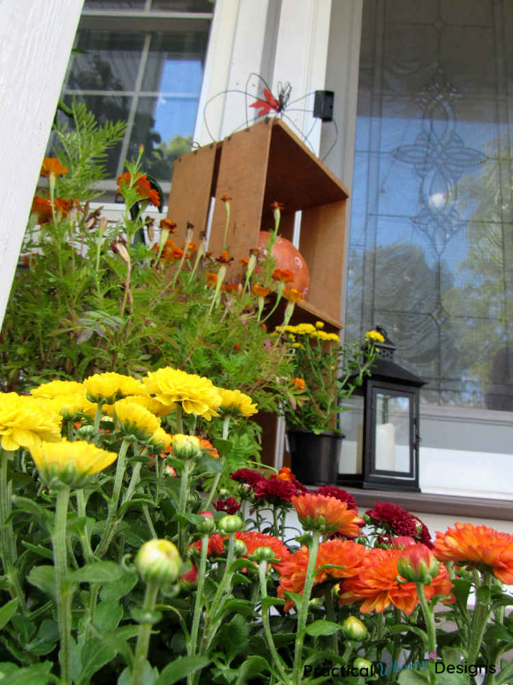 Mums and Marigolds on small porch.