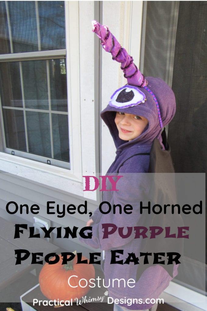 DIY One Eyed, One Horned Flying Purple People Eater Costume.