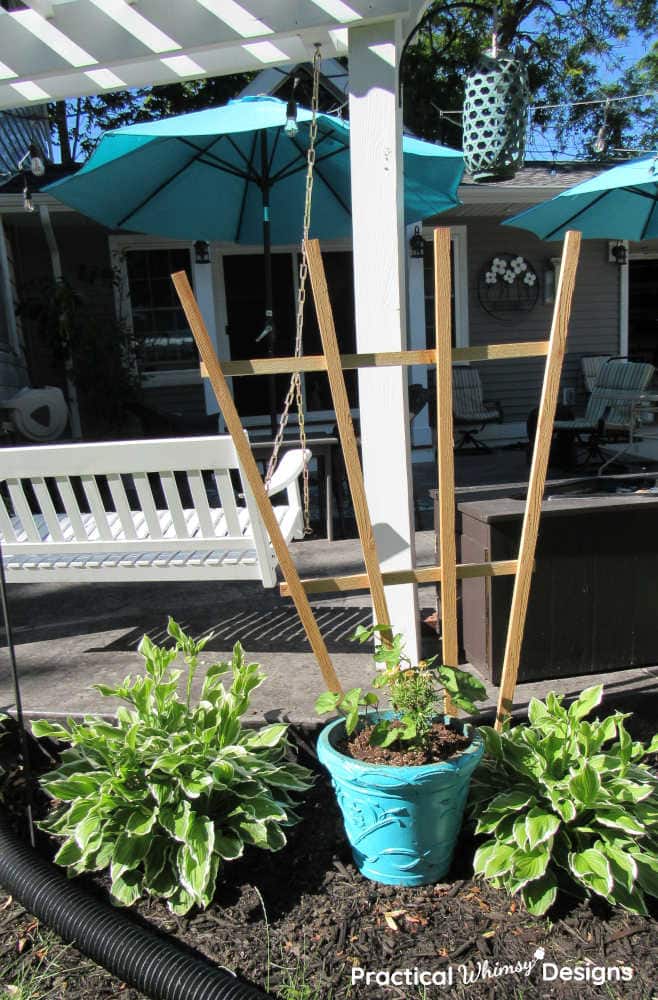 Trellis next to patio and plants.