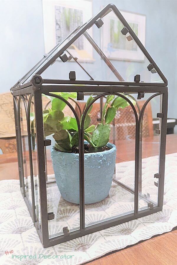 Baking soda planter in framed box