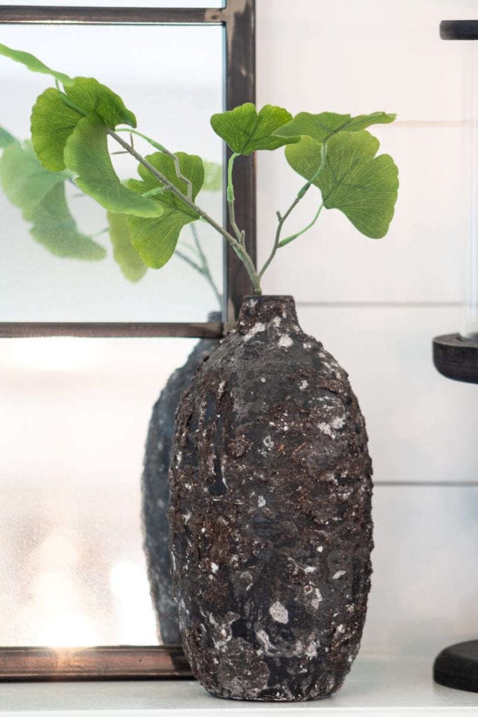 Textured vase with green plant