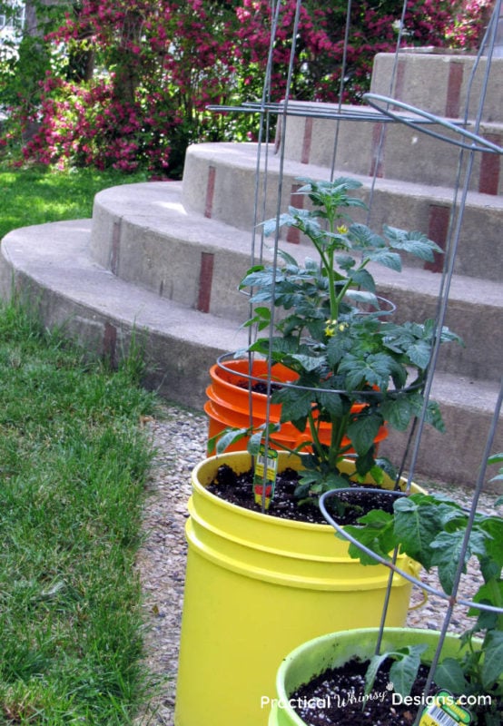 Planters with stairs in background