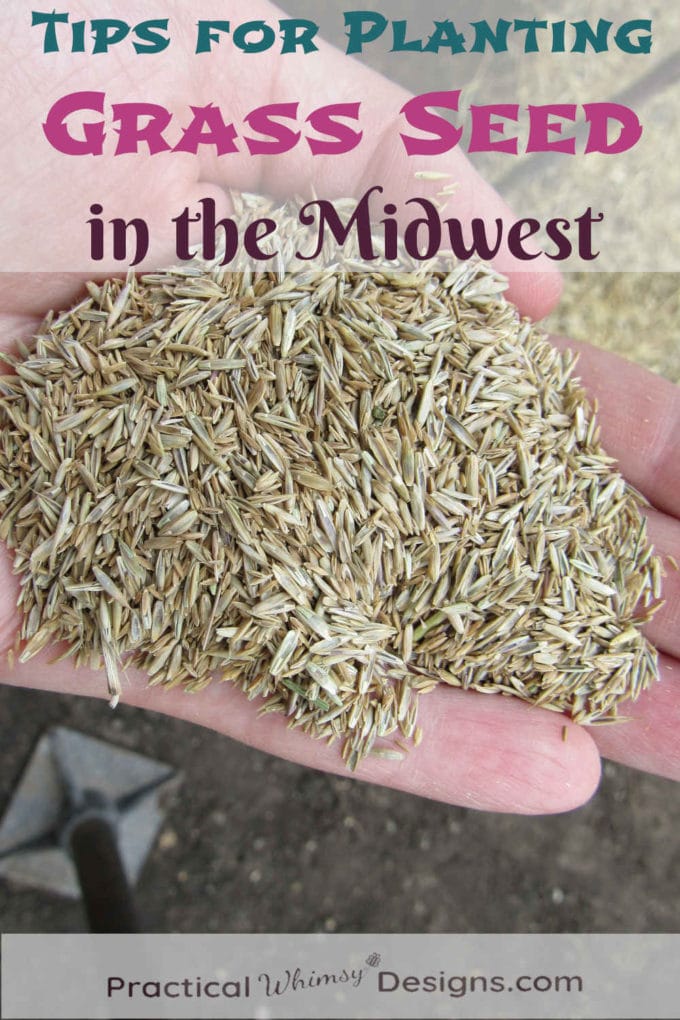 6 Tips for Planting Grass Seed in the Midwest