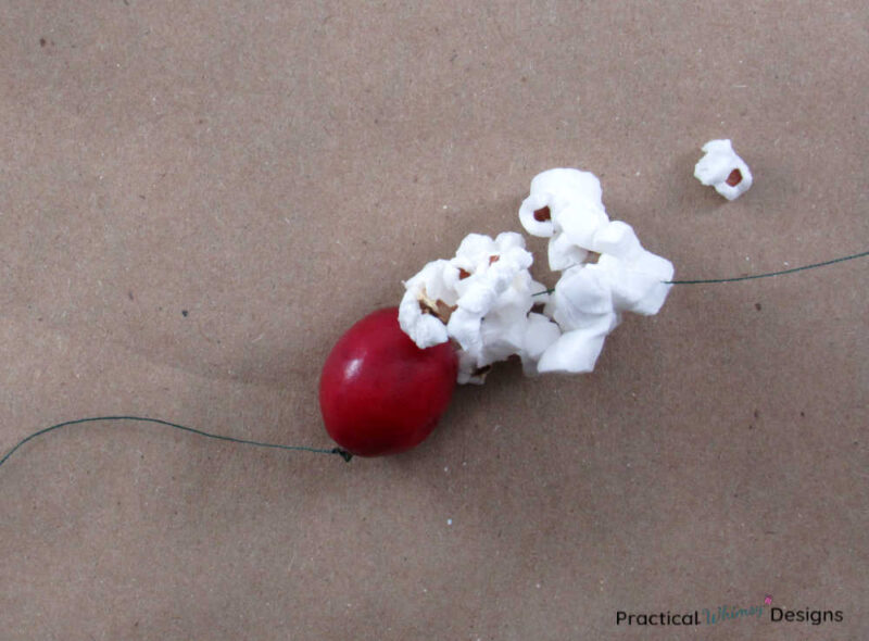 Popcorn and cranberry on thread.