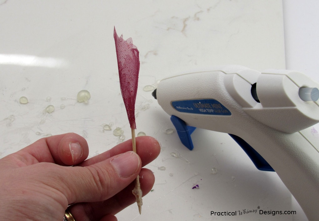 The first rolled petal on the flower