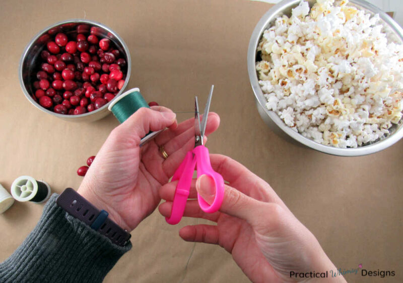 Scissors cutting thread for cranberry and popcorn garland.