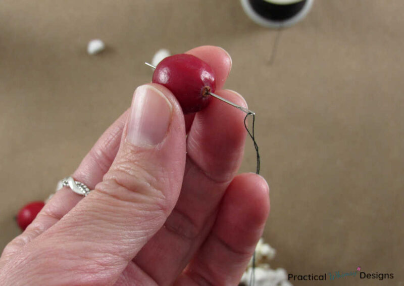 Threading cranberry onto needle for popcorn and cranberry garland.