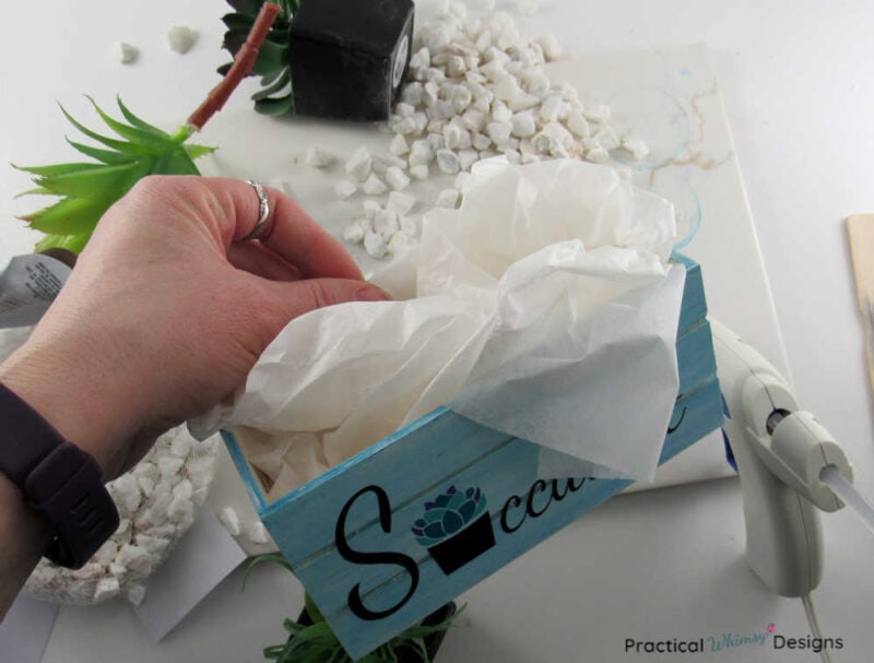 Stuffing white tissue paper in bottom of succulent planter box