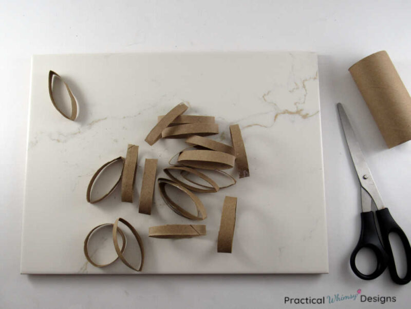 Toilet paper rolls cut in 1/4 inch segments