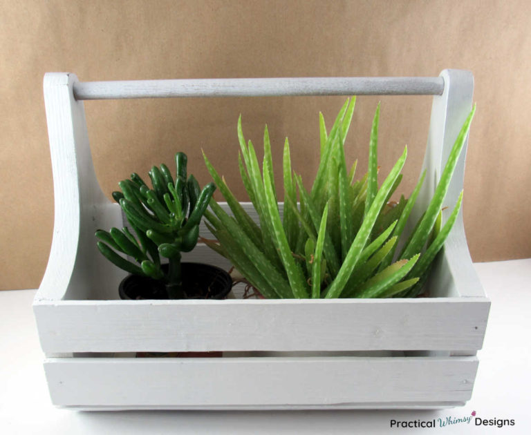 Wooden caddy with succulent plants inside